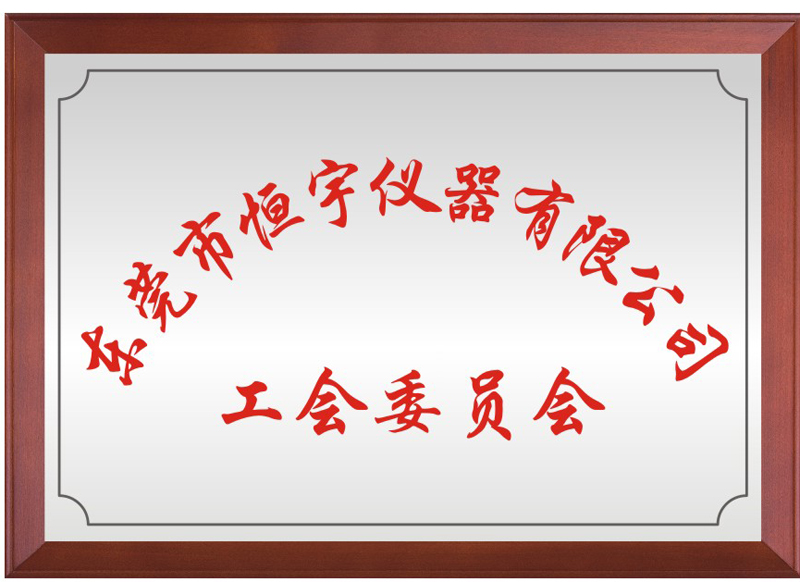 东莞市3499cc拉斯维加斯仪器有限公司工会委员会
